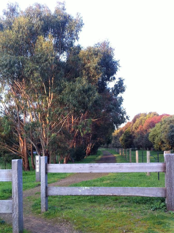 The Estate Koroit Boutique Hotel Bagian luar foto